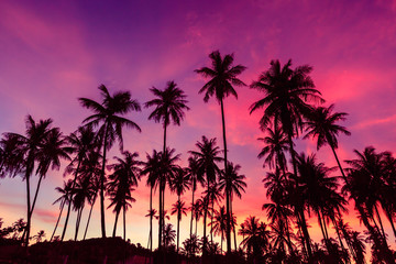 Silhouette of coconut trees against dramatic red sunset sky background.