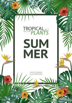 Tropical palm leaves background. Invitation or cover or poster design with jungle leaves and flowers. Vector illustration in trendy style.