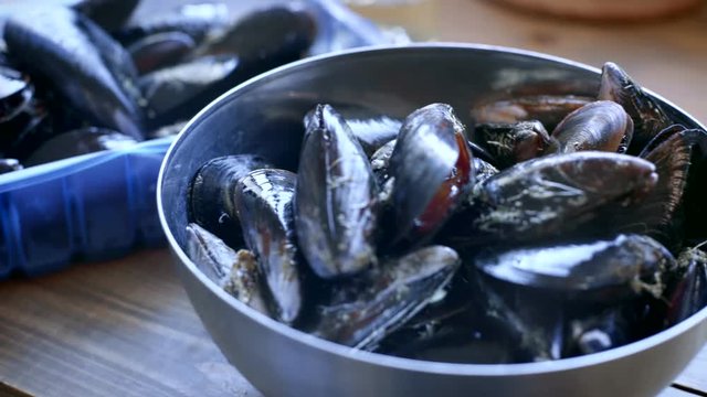 Close up pan shot with selective focus of purchased on organic farmers market fresh mussels out of plastic packaging, delicious, salty and savoury seafood full of vitamins and minerals