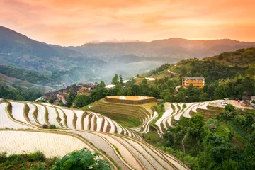 Fototapete Reisfelder Sonnenuntergang über terrassierten Reisfeldern in Longji, Guilin in China