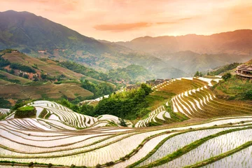 Tuinposter Zonsondergang over terrasvormig rijstveld in Longji, Guilin in China © creativefamily