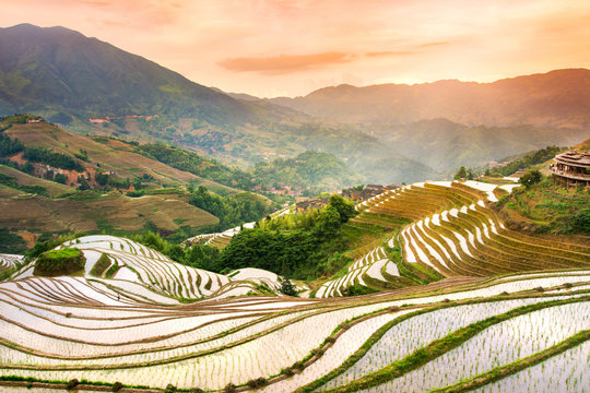 Fototapeta Sunset over terraced rice field in Longji, Guilin in China