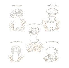 Hand drawn vector illustration of cute mushrooms with Latin names: fly amanita, red capped scaber stalk, honey fungus, woolly milk cap, saffron milk cap.