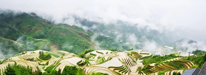 Foto op Aluminium Panorama van terrasvormig padieveld in Longji, Guilin-gebied, China © creativefamily