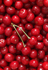 Many of natural fresh cherry berries