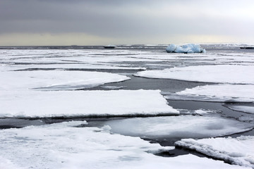 Ice-floes and Water, outside Spitsbergen. Svalbard, Norway