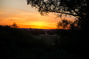 Zachód słońca na bagnach