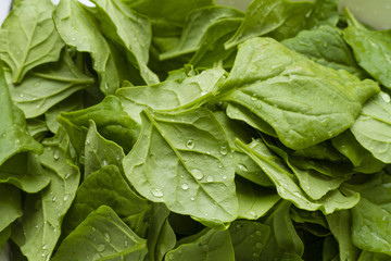 Prepared spinach for cooking