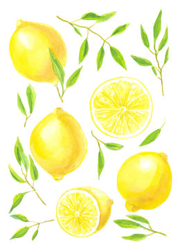 Lemons, lemon slices and leaves painted in watercolor. Set of design elements.