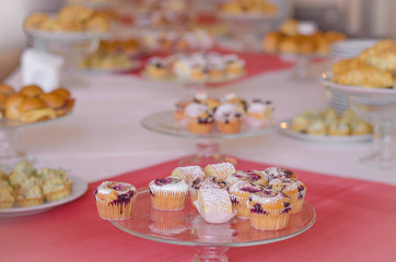 colorful small different cake collection on the white plate on pink background