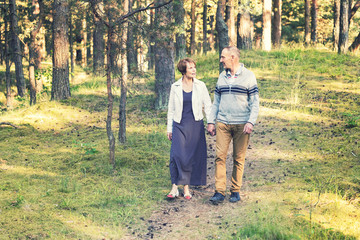 senior couple walking on forest trail holding hands