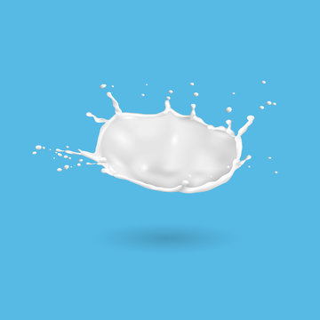 Fresh milk splash isolated on blue background