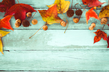 Fototapeta na wymiar Beautiful maple leaves on vintage wooden background, border design. vintage color tone - concept of autumn leaves in fall season background