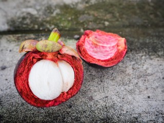 Mangosteen