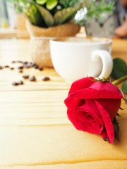 Coffee cup and beans with red rose in valentines day