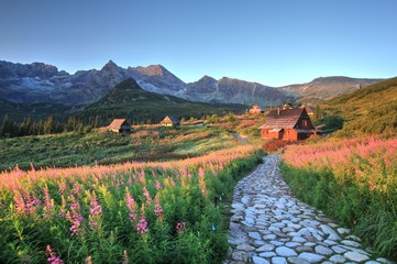 Fototapeta Hala Gasienicowa w Tatrach, Tatra Mountains obraz