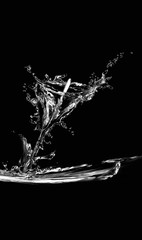 Silhouette of a calla lily made from water on black. 