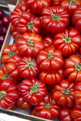 Red Tomato Background