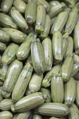 Green Zucchini Background