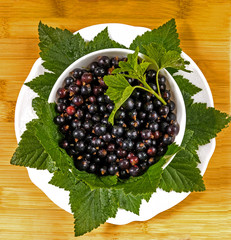 Wet currant with leaves on a white plate.