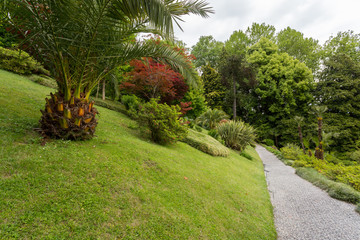 Jardin luxuriant et palmier