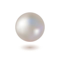 Shiny Pearl on White Background. Vector