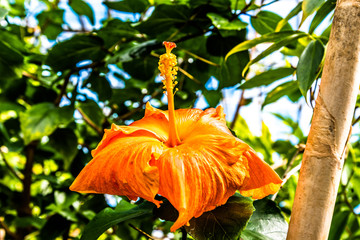 Royal Botanic Garden Edinburgh