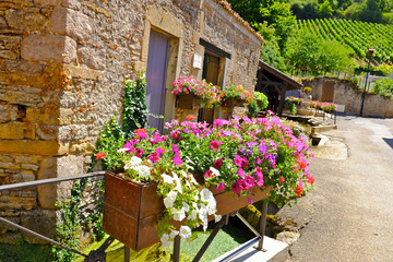 Fototapeta premium village de fuissé fleurie 1