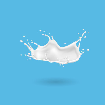 Splash of milk isolated on blue background
