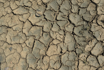 Cracked filed, soil