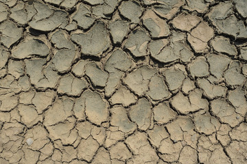 Cracked filed, soil