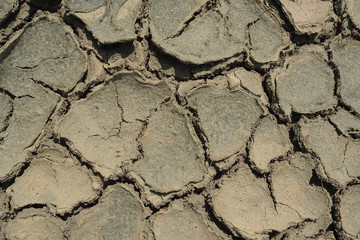 Cracked filed, soil