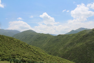 Obraz premium Summer Landscape in Amdo Tibet Qinghai China Asia