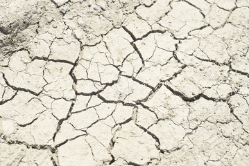 arid soil 
