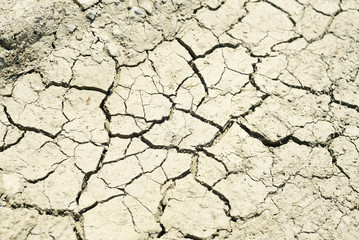 arid soil