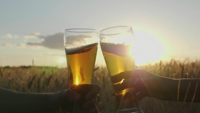 Clink glasses of cold beer at sunset, against the background of a field of barley or wheat. Close-up, the frame shows only hands