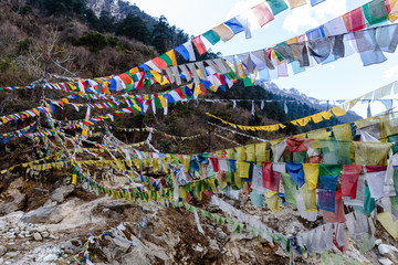 Fototapeta premium Tibetan prayer flags waving and swaddled with trees an mountain in sideway over frozen river at Thangu and Chopta valley in winter in Lachen. North Sikkim, India.