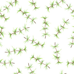 Seamless pattern with green pine branches on white background. Hand drawn watercolor illustration.