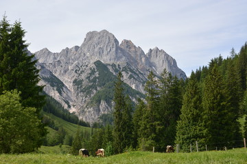 Fototapeta na wymiar Bavarian Alps