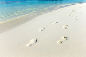 tropical beach in Maldives