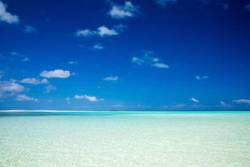 tropical beach in Maldives with few palm trees and blue lagoon