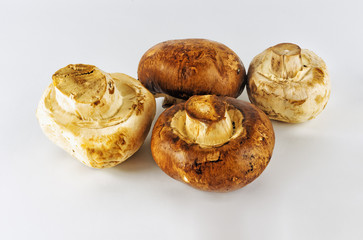 Fresh mushrooms on an isolated background