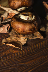 The mushrooms lying on the table in the fallen leaves