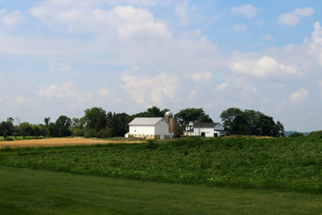 Agriculture, agronomy and farming background. Summer countryside landscape with green field on a foreground and farm buildings against cloudy blue sky. Wisconsin, Midwest USA.