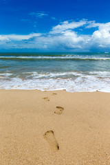 beach and tropical sea