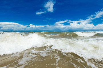 beach and tropical sea