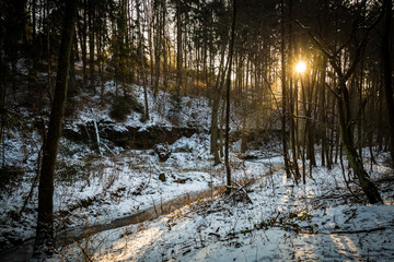 Winter landscape with stream