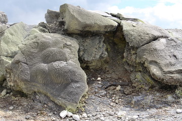 Te Puia-Neuseeland