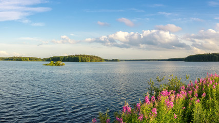 летний пейзаж с цветами на берегу озера, Рефтинское водохранилище, Россия, Урал  © 7ynp100