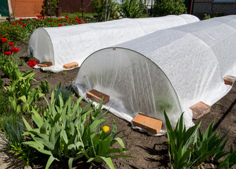 Shelter for plants, made of material stretched on an arc © VPales